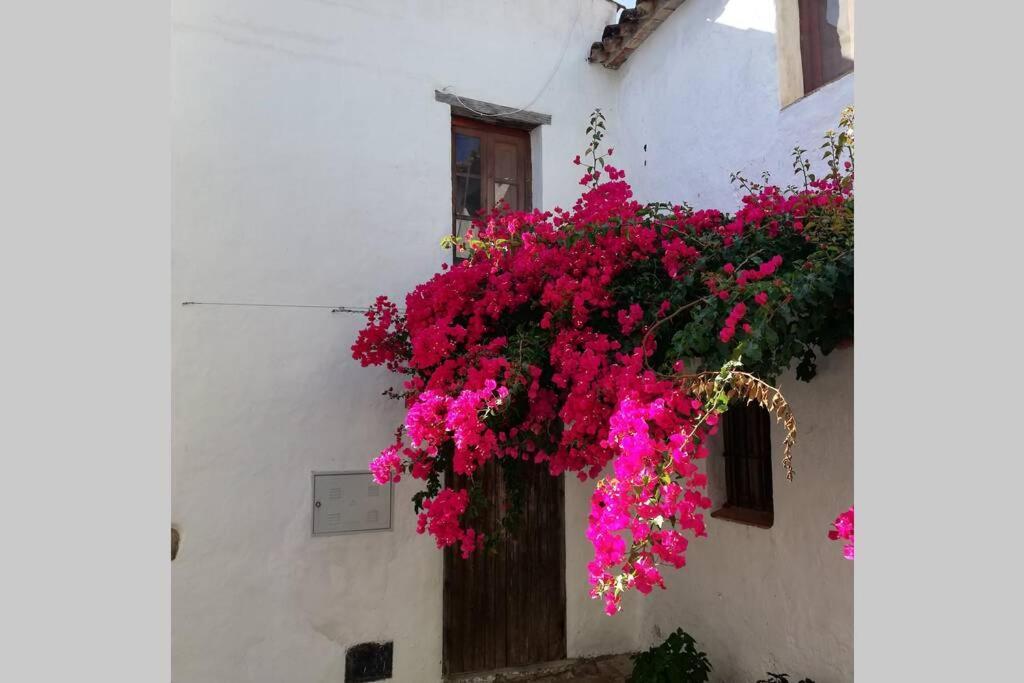 Casa En Fortaleza Medieval 카스테야르데라폰테라 외부 사진